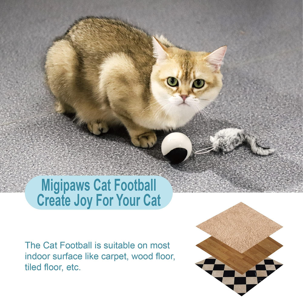 Migipaws 60-day warranty card communicates trusted support for cat play.