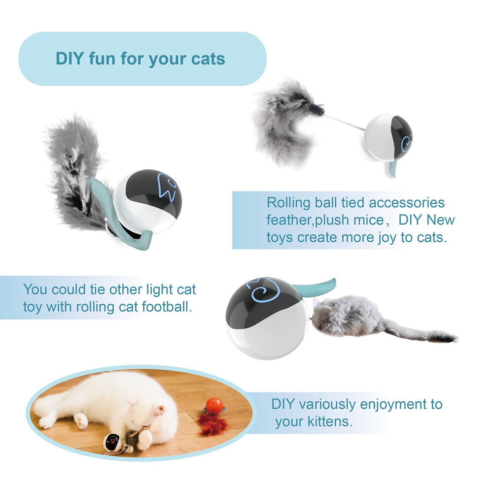 Migipaws glowing ball inside bag sparks curiosity and exploration.