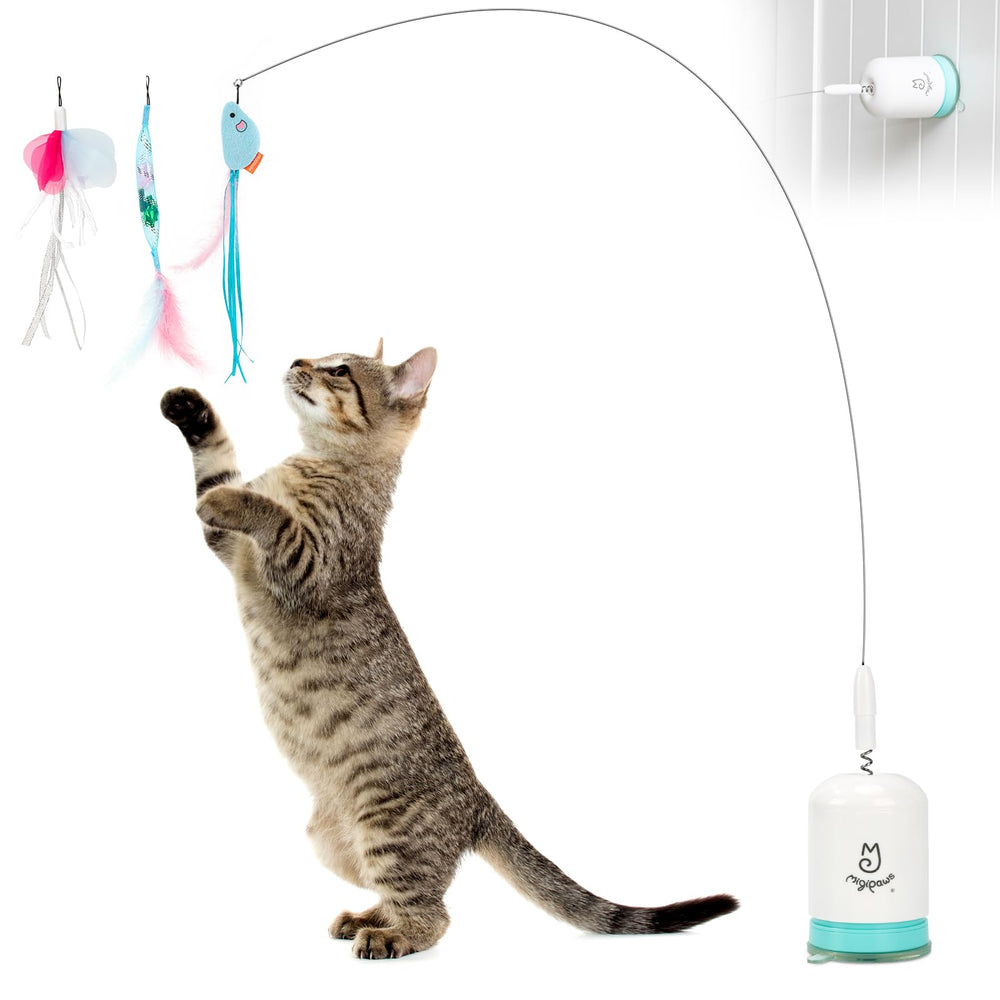 Migipaws interactive teaser wand with strong suction cup enables secure indoor play.