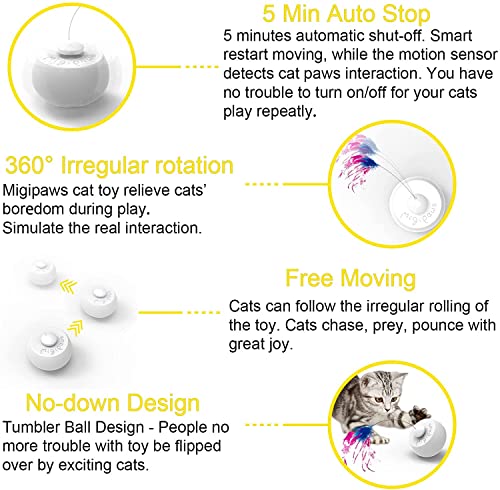 Migipaws spinning ball demonstrates self-play for busy felines.