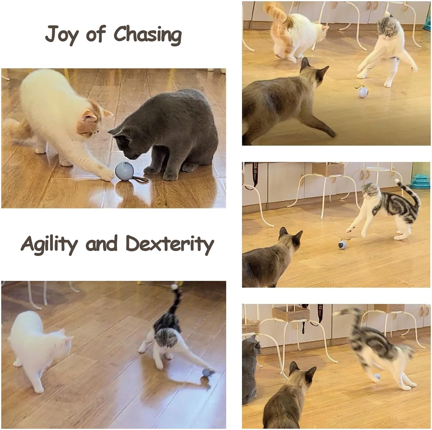 Migipaws rechargeable cat ball powered by Type-C for mess-free maintenance.