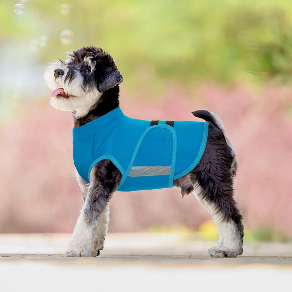 MIGOHI coat on a small dog illustrating snug fit and size range