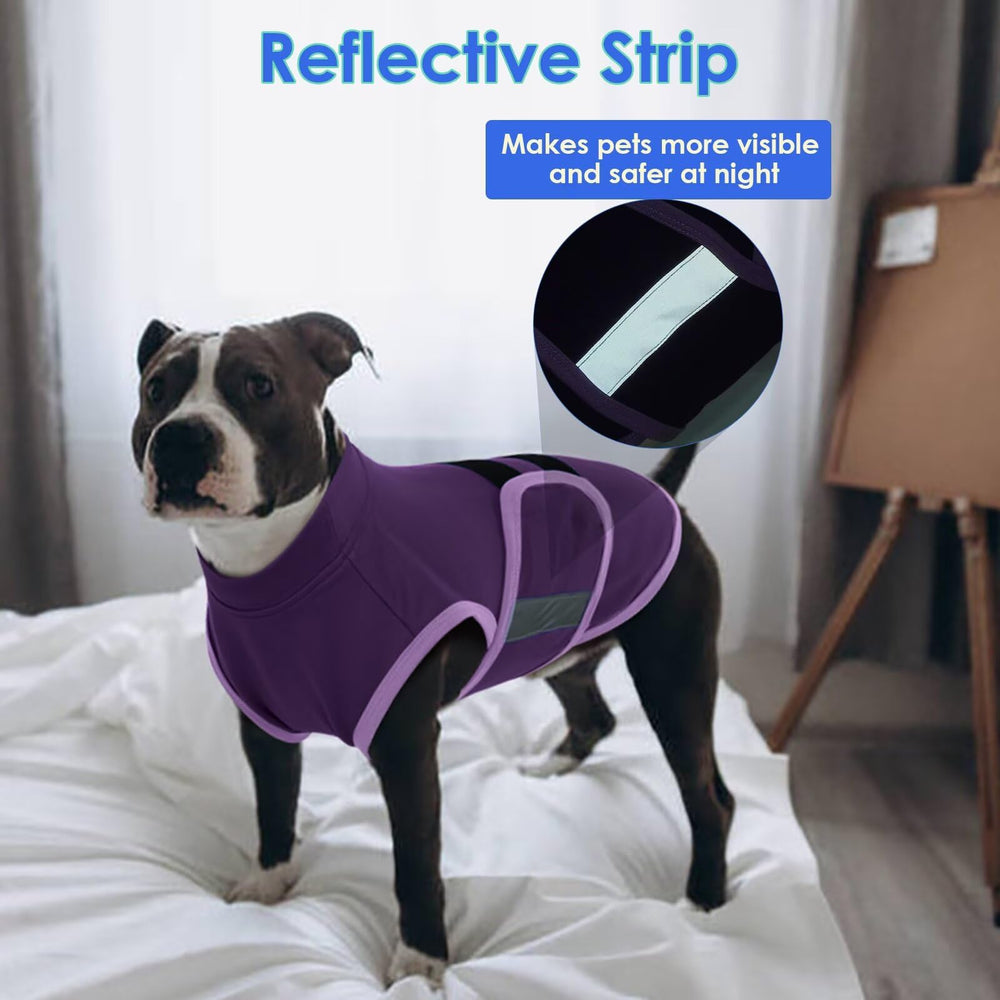 MIGOHI Dog Anxiety Relief Coat on dog during travel showing calming wrap use