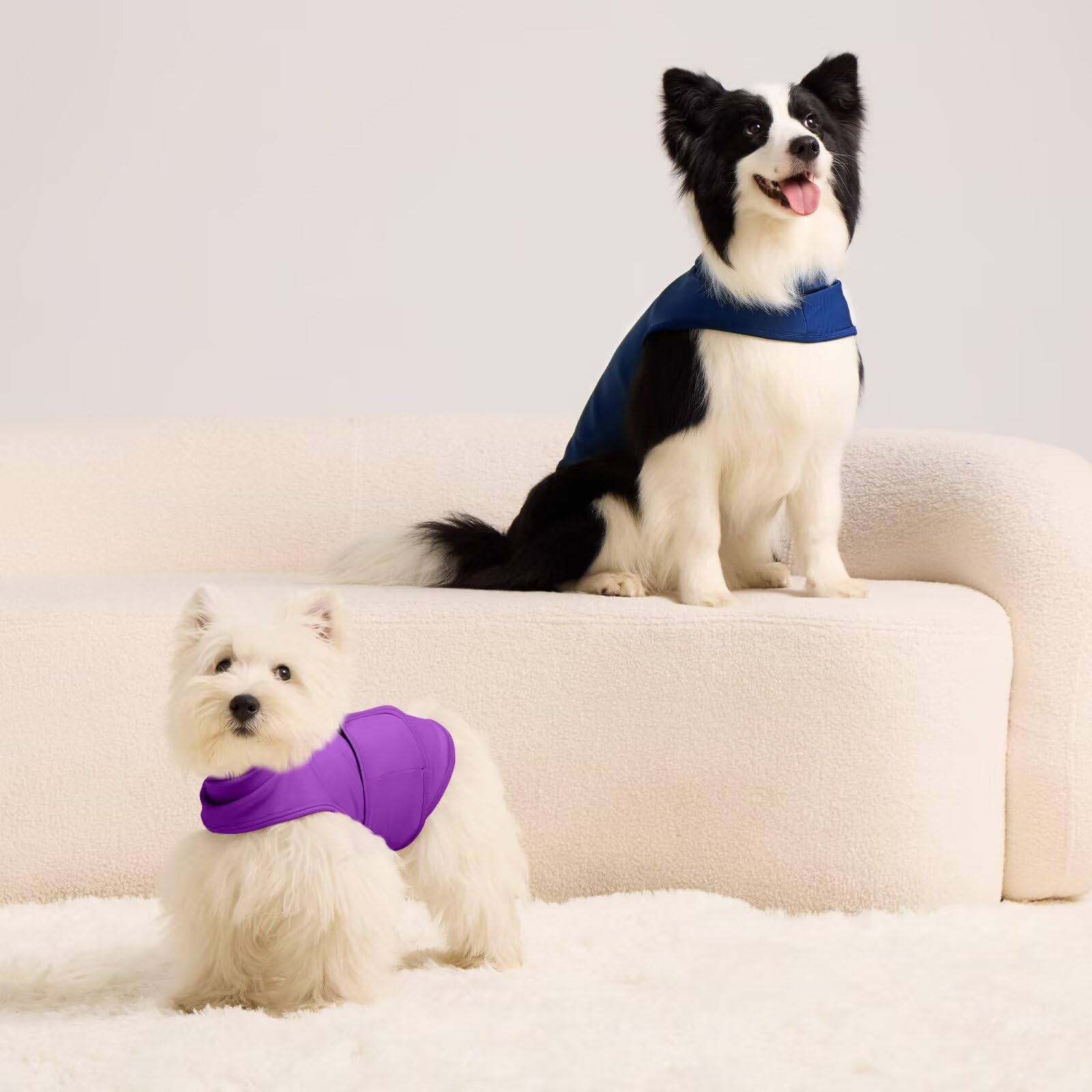 MIGOHI XS size vest helps tiny dogs like Chihuahuas feel secure.