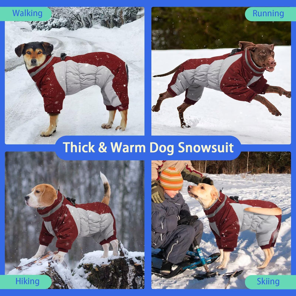 MIGOHI six-size range fits most breeds from Beagle to Labrador.