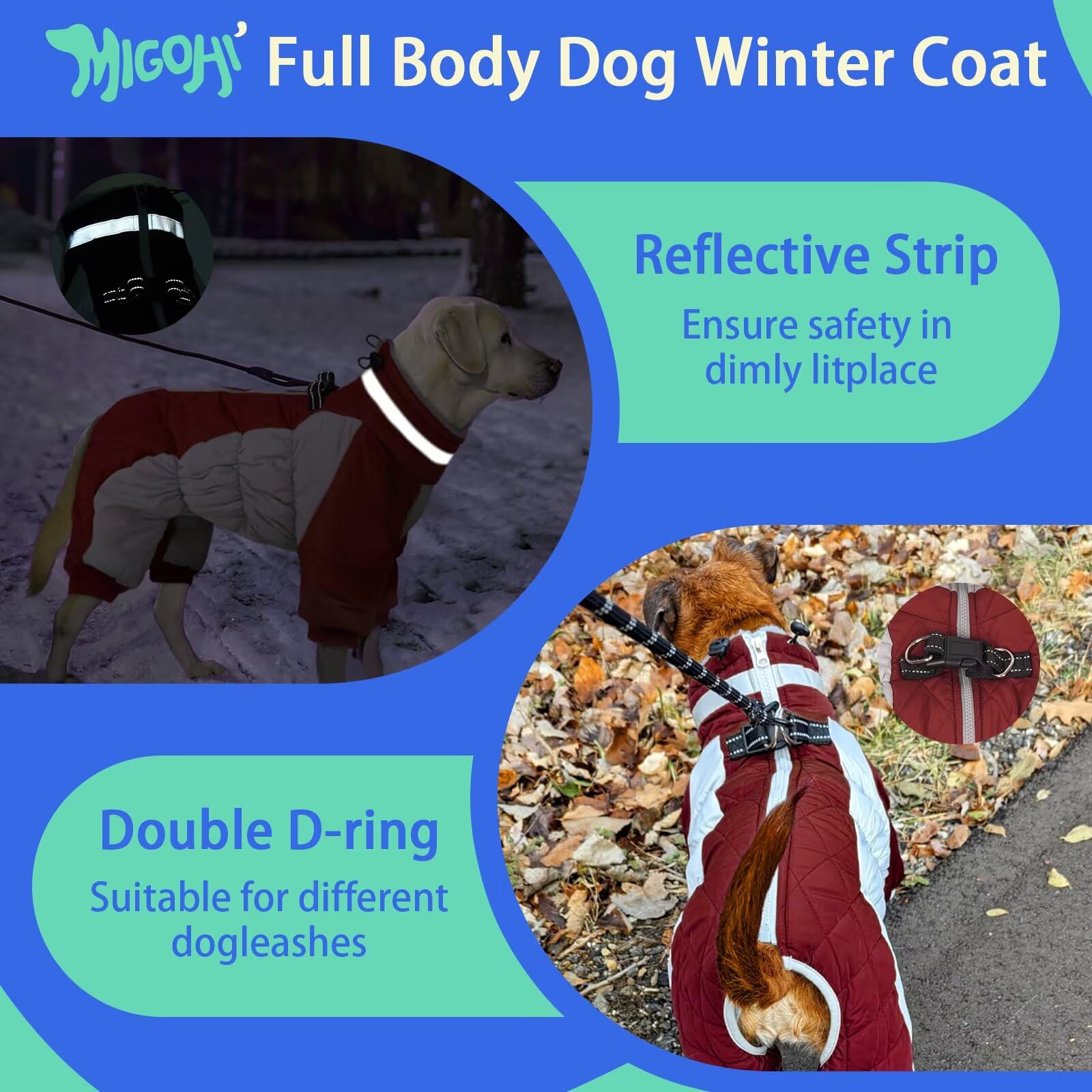 MIGOHI back zipper and D-rings simplify on/off and leash attachment.