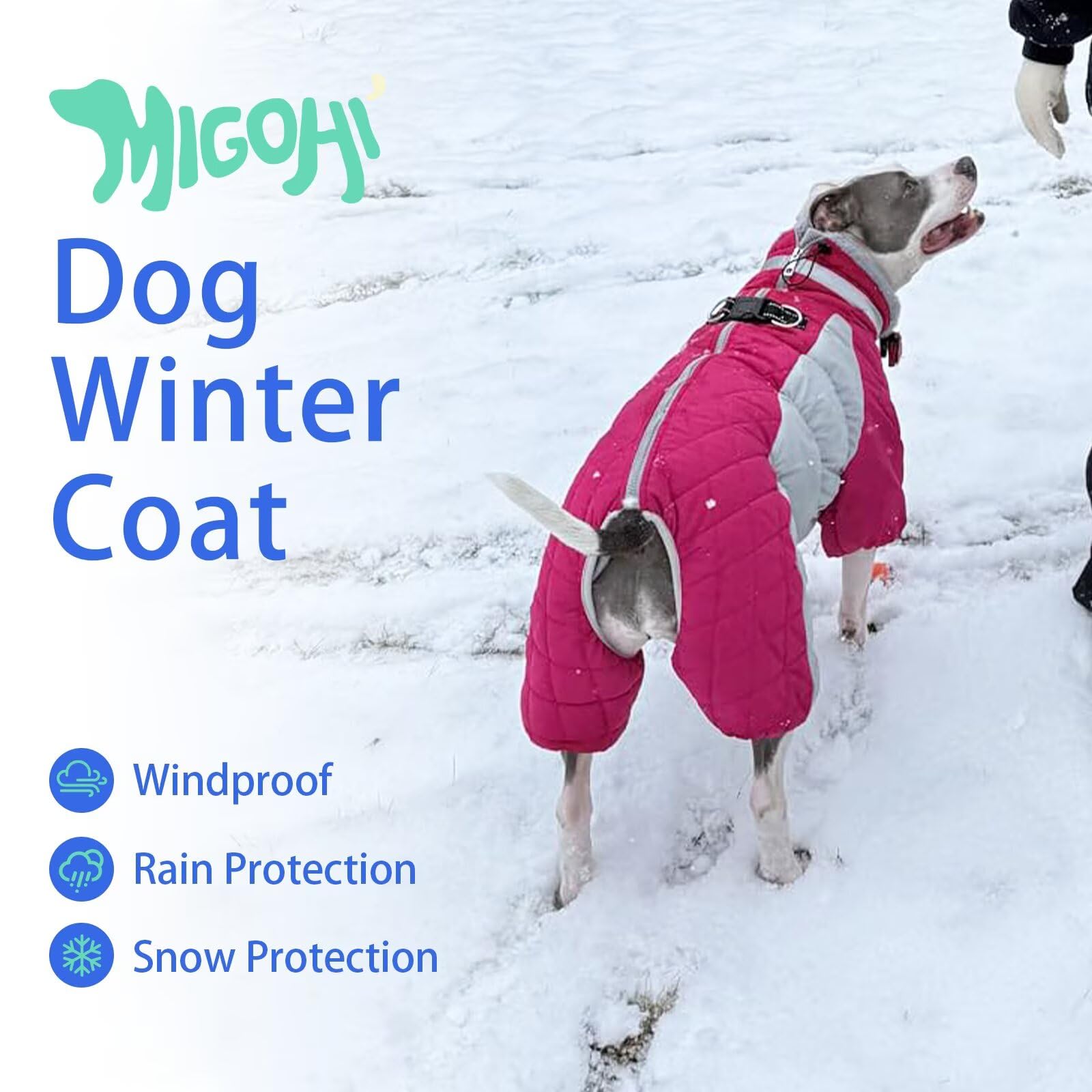 MIGOHI harness friendly back zipper design for quick on/off and leash use.