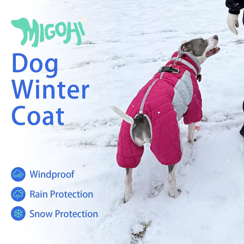 MIGOHI harness friendly back zipper design for quick on/off and leash use.