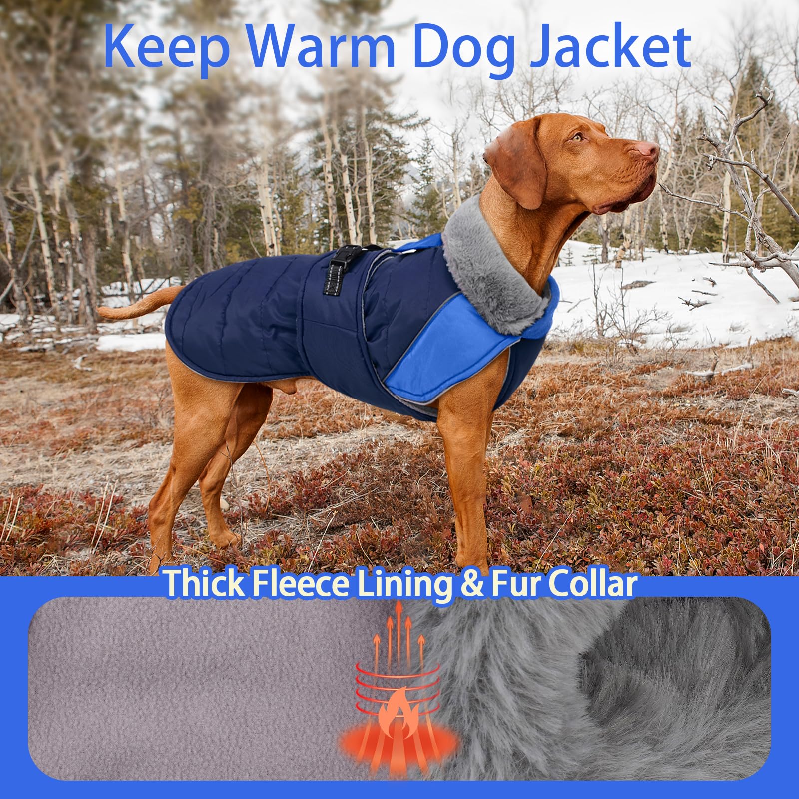 MIGOHI dog coat with reflective trim in low light improves safety.