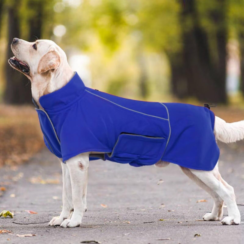 MIGOHI dog wearing jacket on trail demonstrates rugged, weather-ready design.