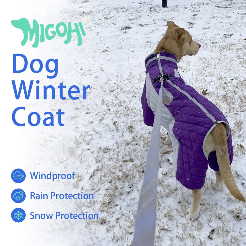 MIGOHI four-legged harness-friendly coat keeps dogs secure and comfortable.