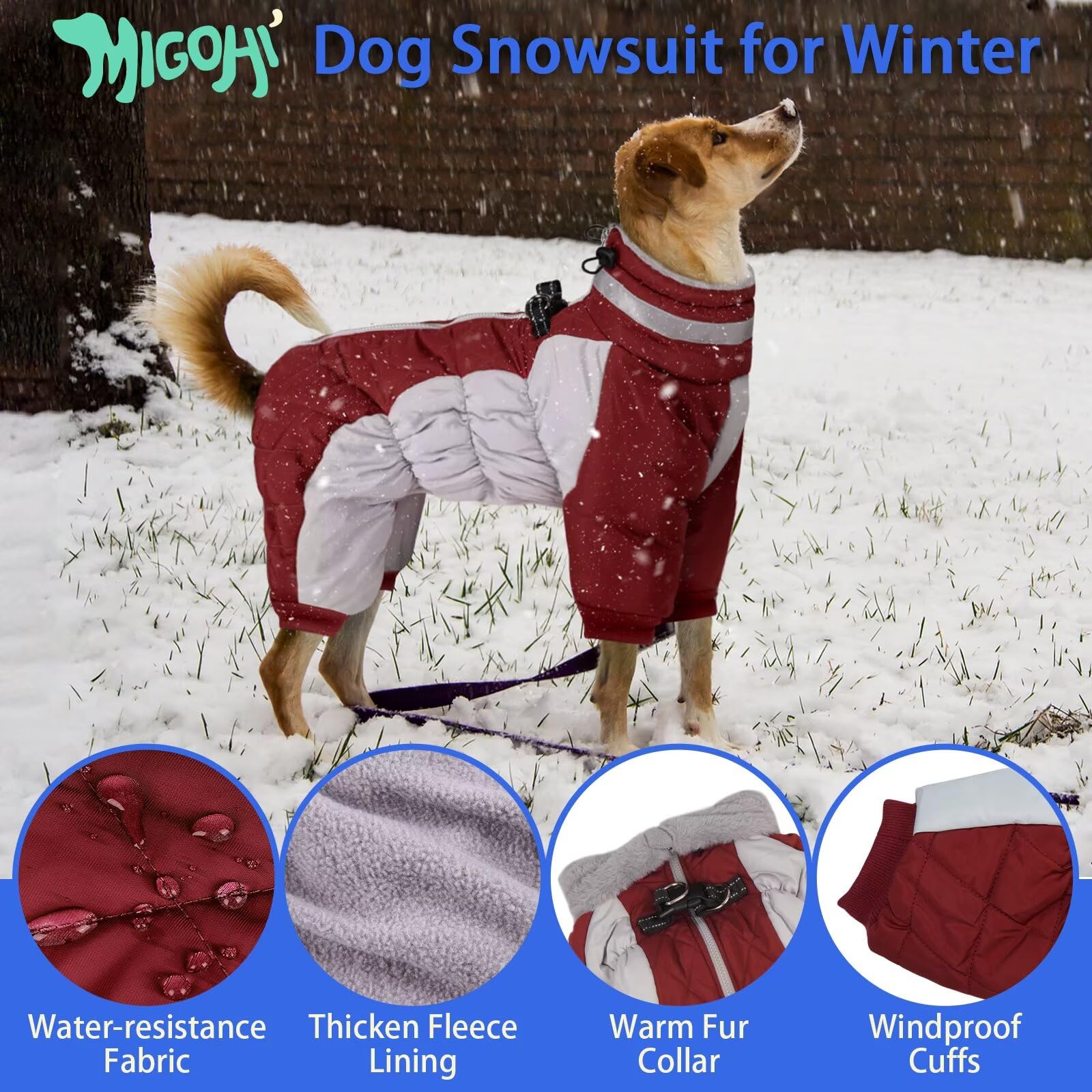 MIGOHI full-body dog coat back view showing windproof design and secure zipper.