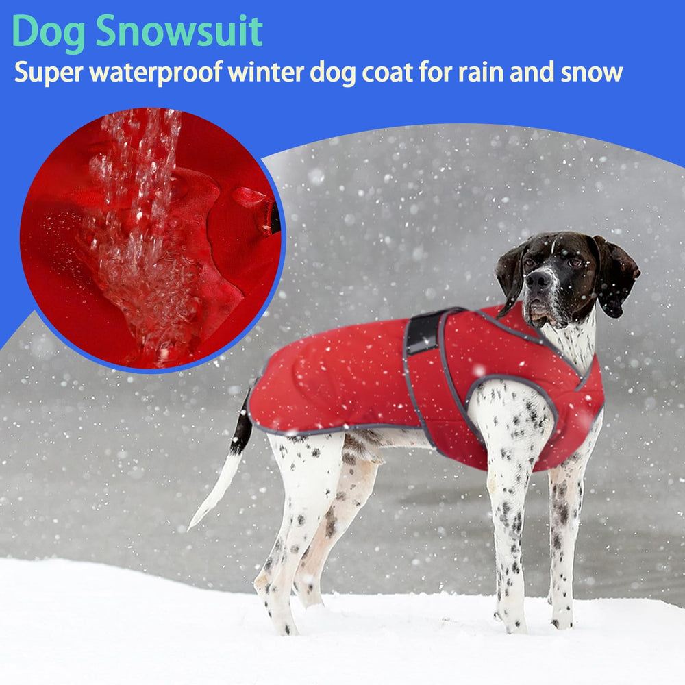 MIGOHI lead attachment slit keeps leash secure outdoors