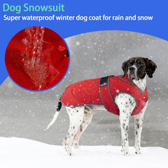 MIGOHI lead attachment slit keeps leash secure outdoors