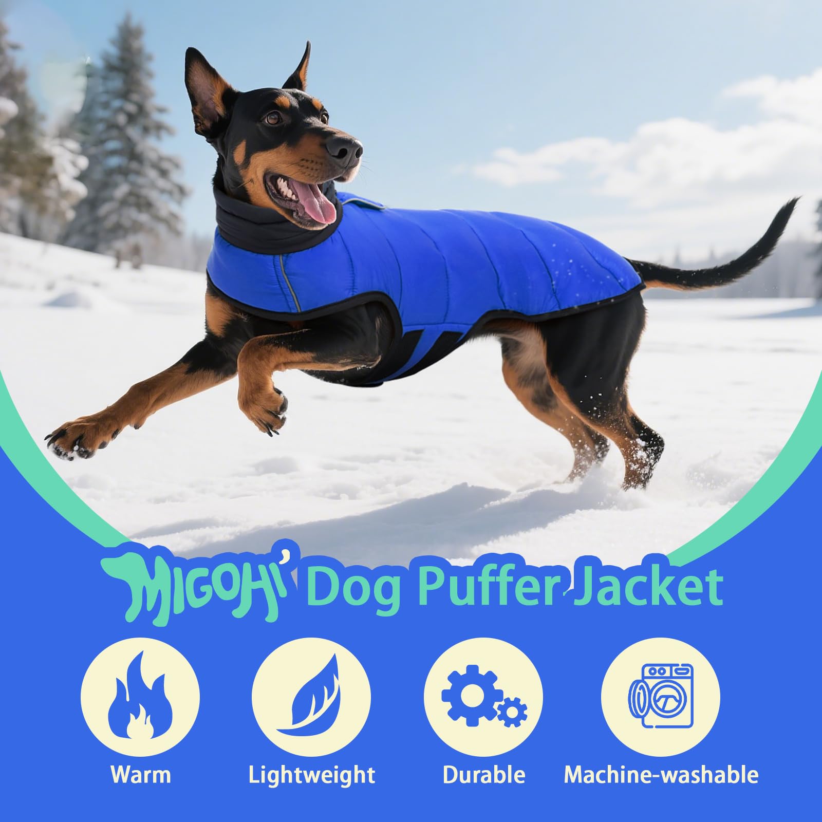 MIGOHI leg-straps-secure-fit-dog-coat stays in place during activity.
