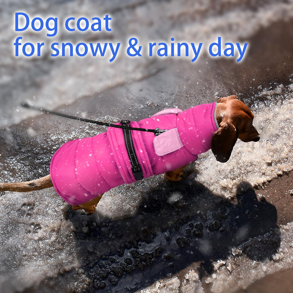 MIGOHI coat features reflective trim for high-visibility safety during dawn or dusk.