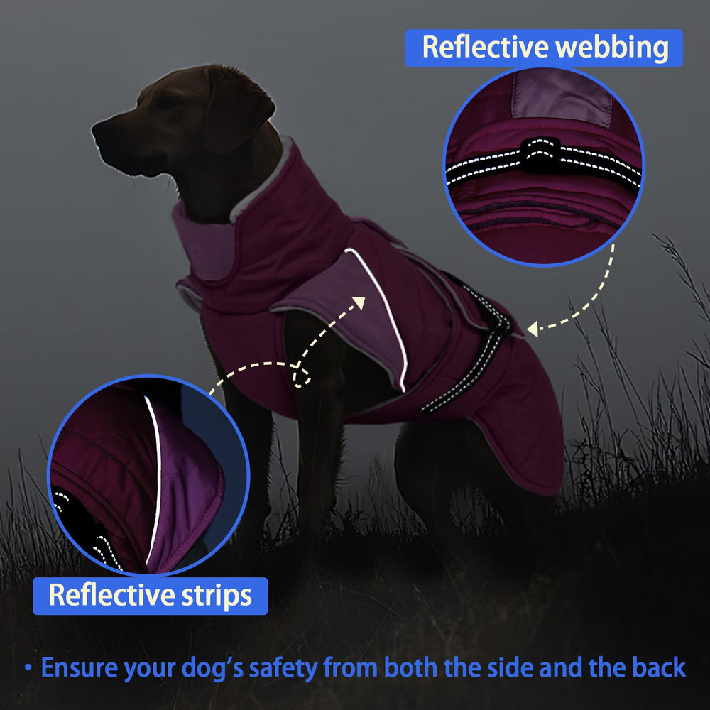 MIGOHI dog coat shows leash hole for harness attachment during walks