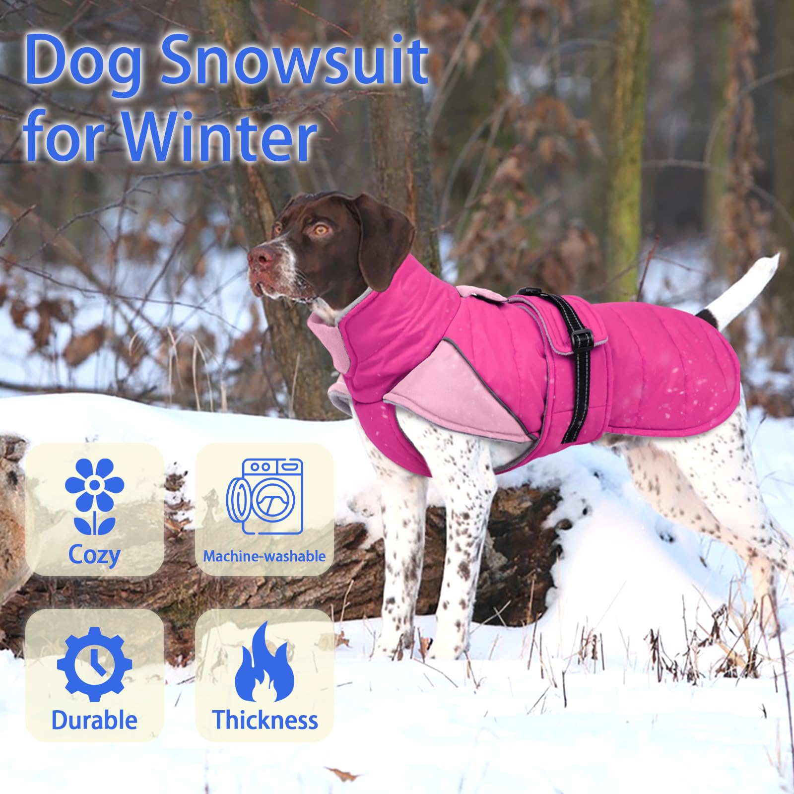 MIGOHI rosepink windproof dog coat worn during a blustery outdoor stroll