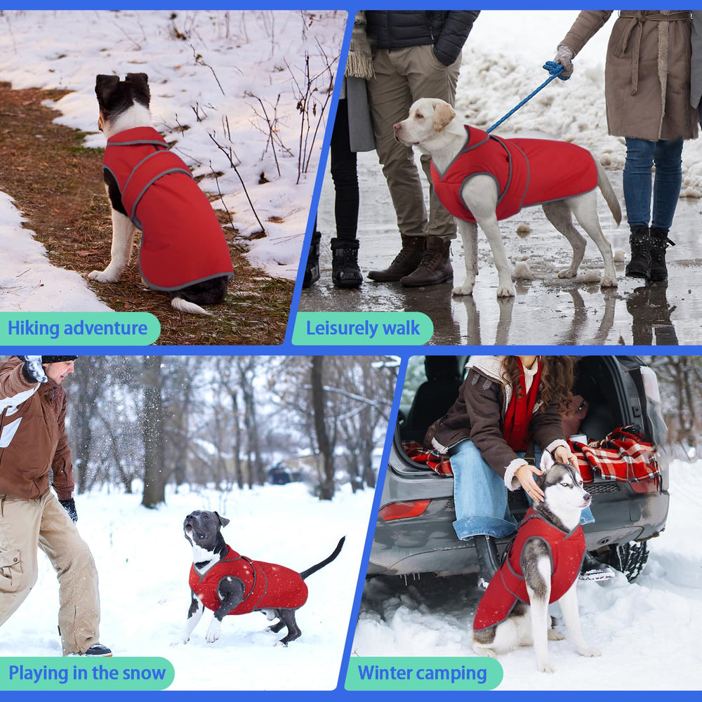 MIGOHI six-size range fits most breeds snugly