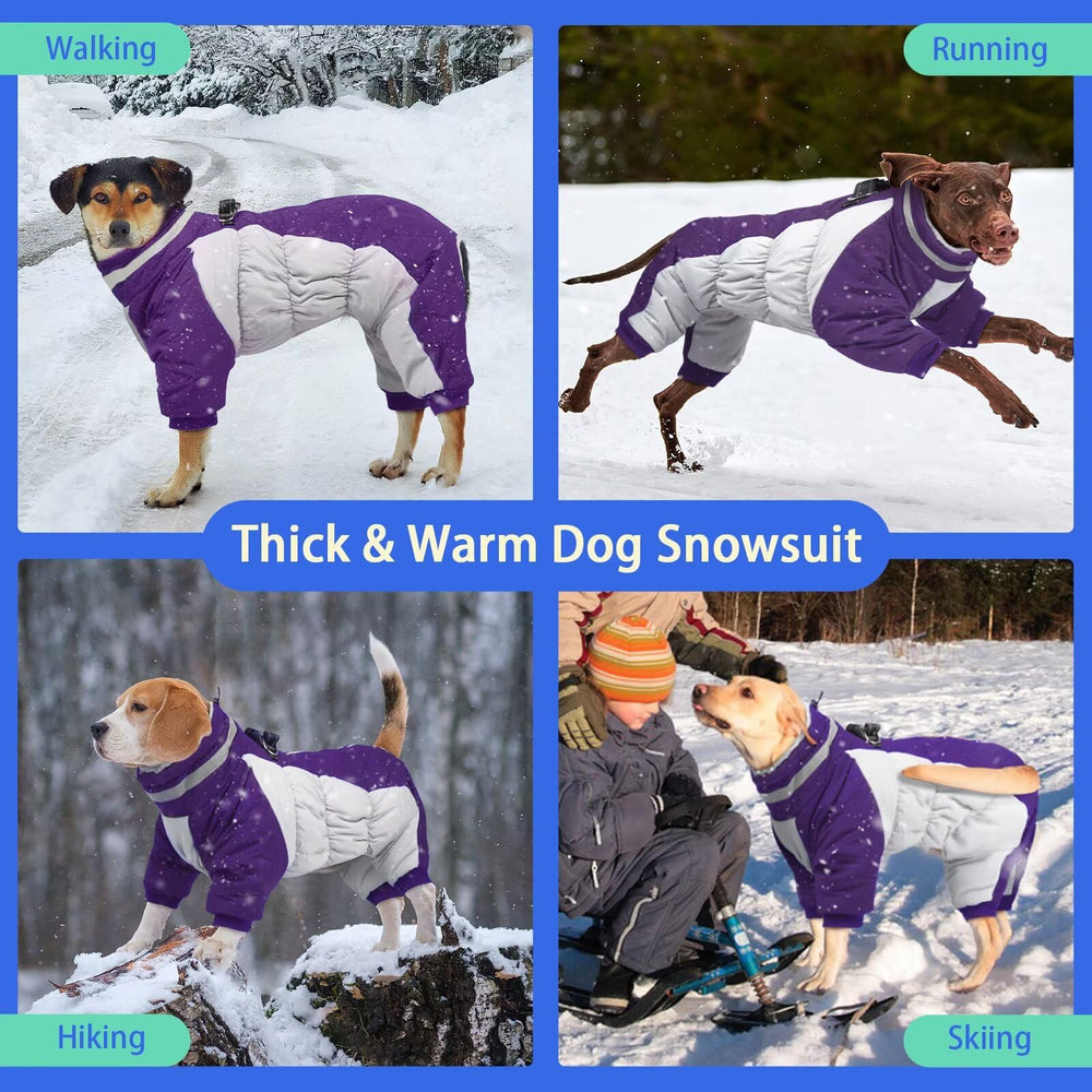 MIGOHI six-size range fits most breeds for daily outdoor adventures.