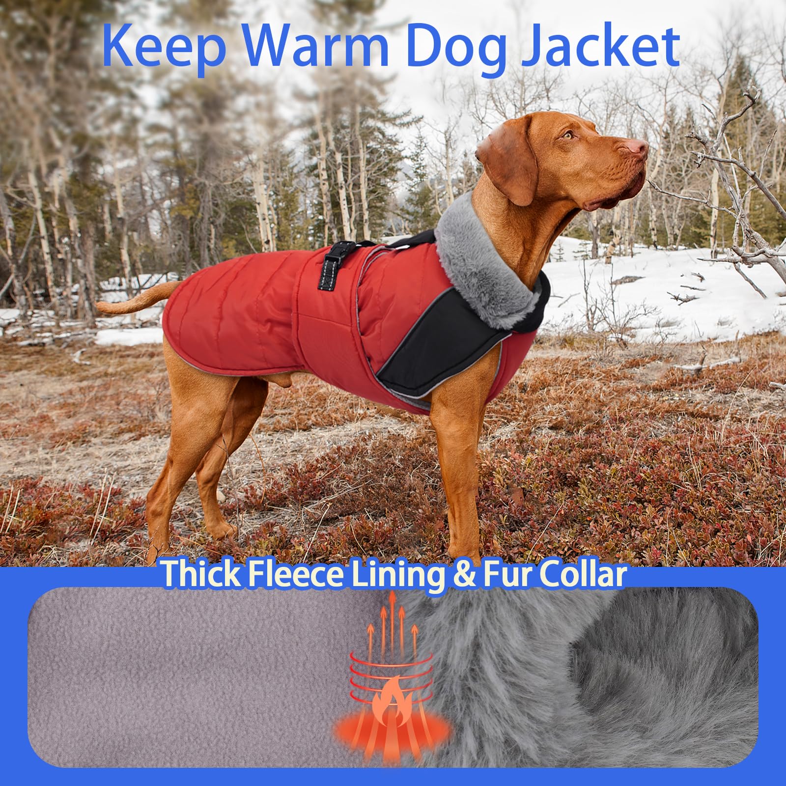 MIGOHI Snowproof Dog Coat reflective trim improves safety during early morning strolls.