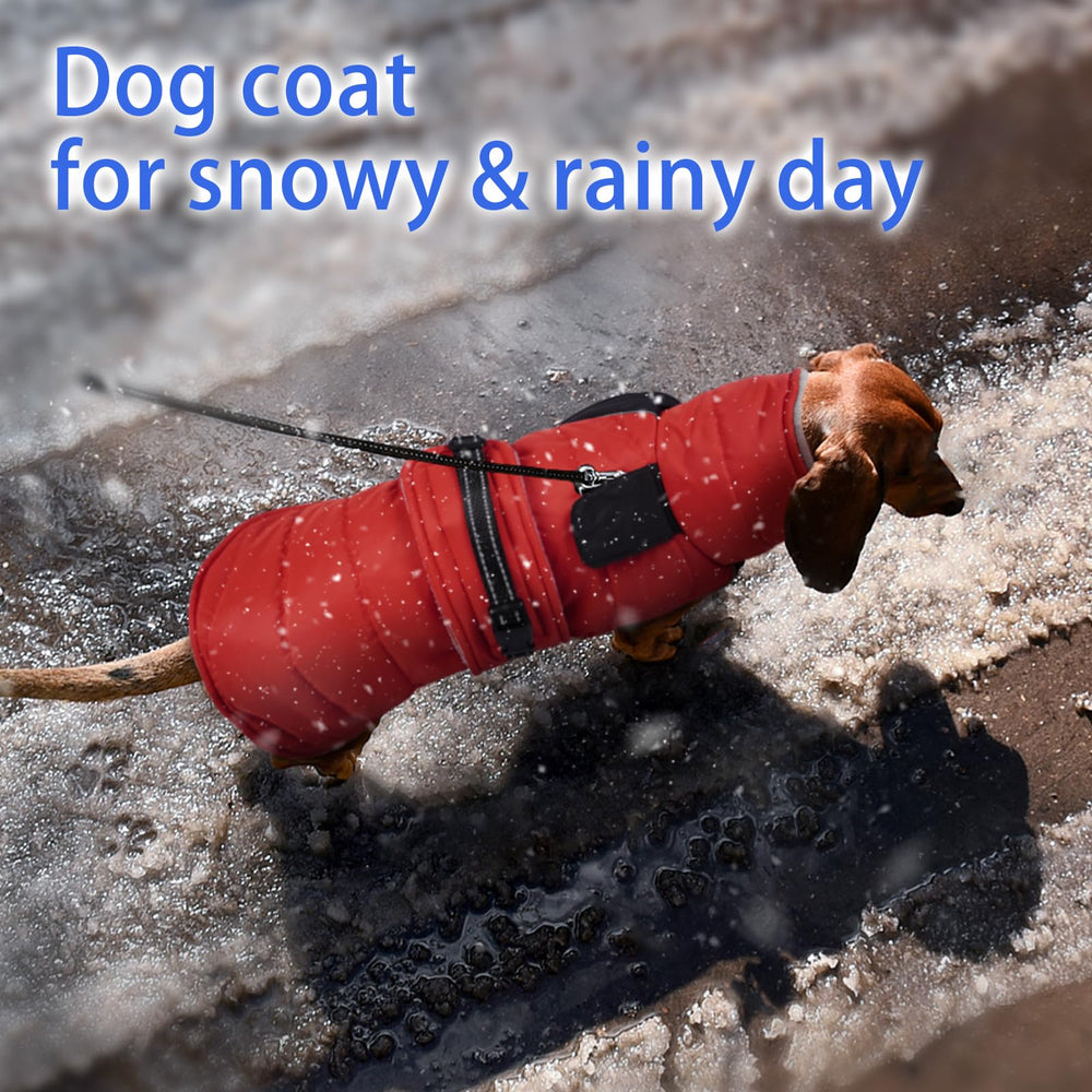 MIGOHI Snowproof Dog Coat side view shows secure adjustable fit for active dogs.