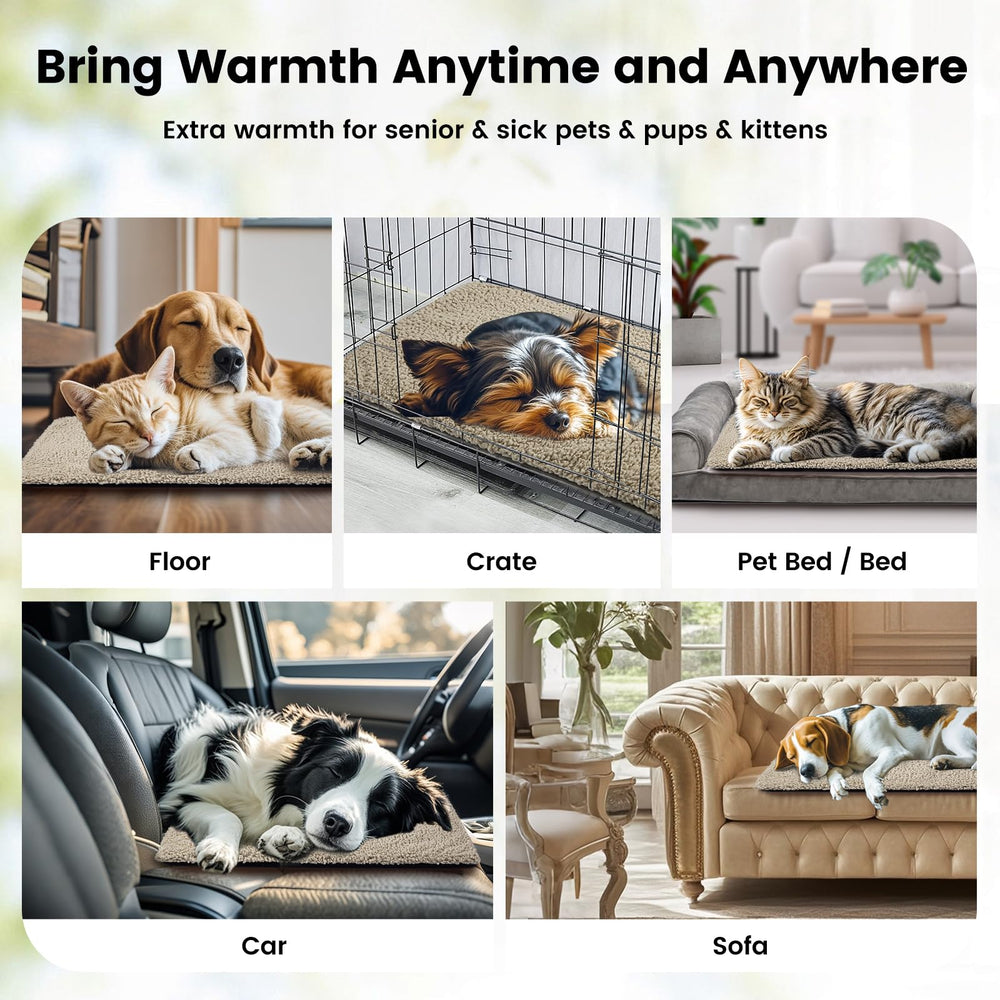 Miguel self-warming bed is portable for indoor or outdoor use.