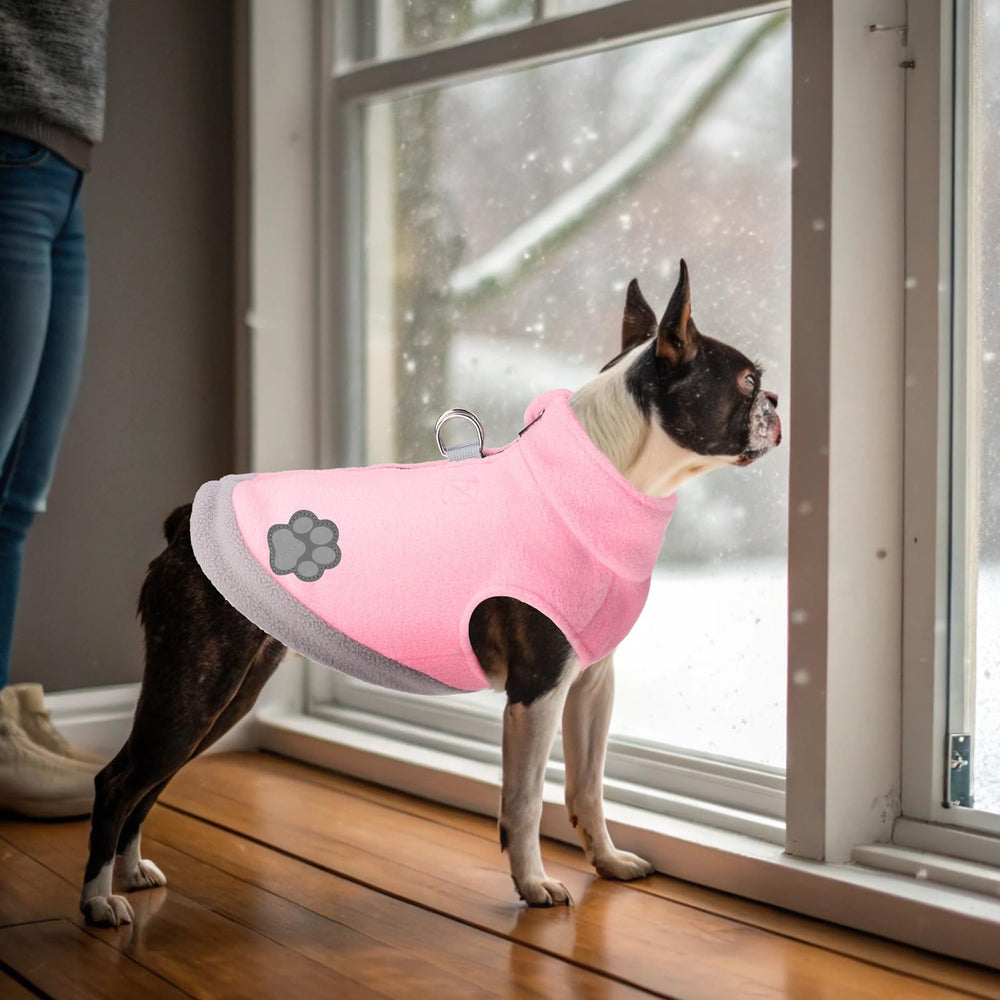 Mihachi size-chart reference helps pick the right fit for small to medium dogs
