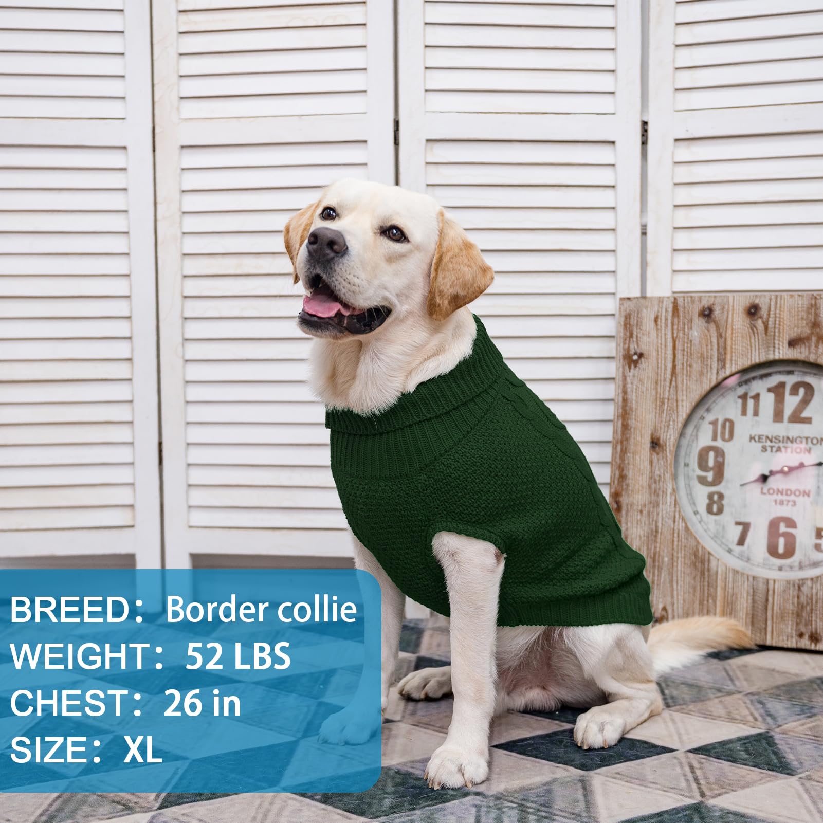 Mihachi turtleneck dog sweater warm comfort for winter walks