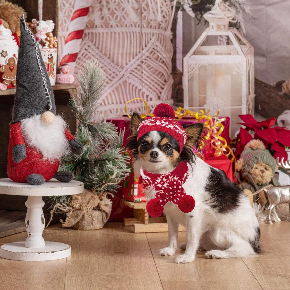 Mihachi holiday-ready dog photo setup highlights seasonal styling