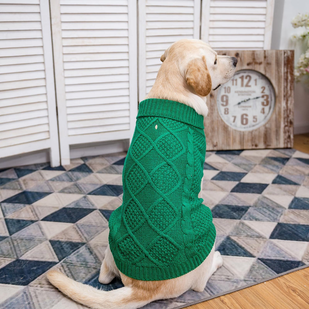 Mihachi back view highlights versatile fit for dogs across seasons