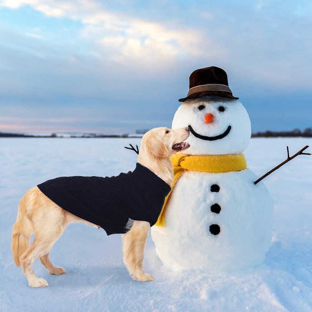 Mihachi gift-ready sweater makes a thoughtful present for pets in the New Year