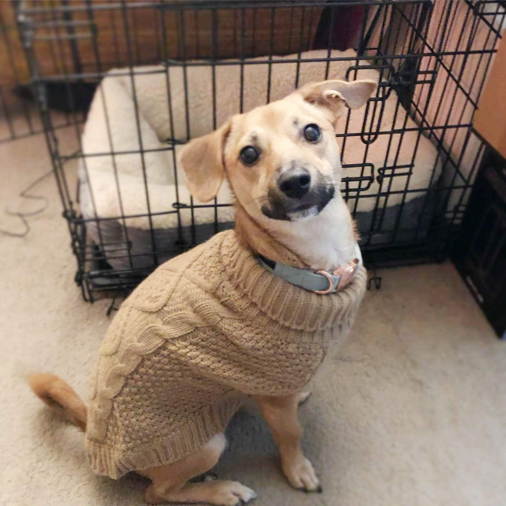 Mihachi Turtleneck Dog Sweater Khaki color looks sleek on dogs.
