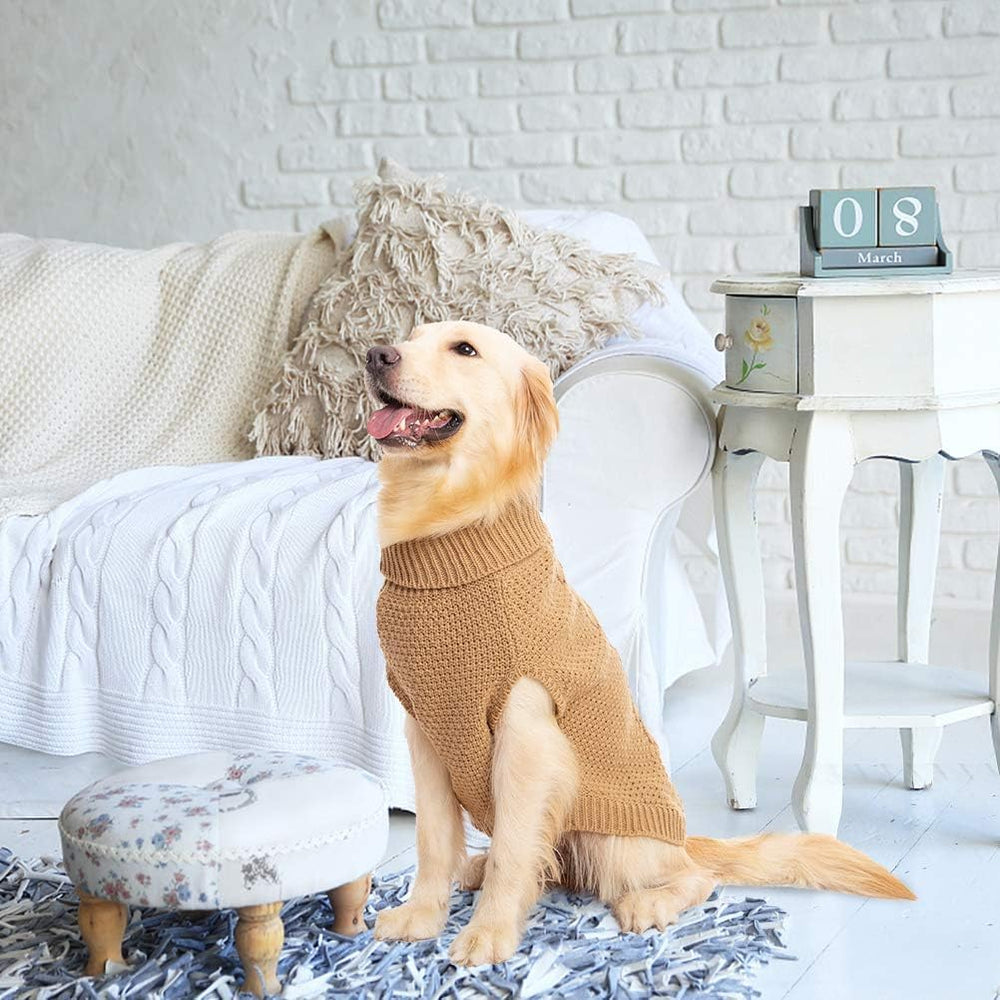 Mihachi Turtleneck Dog Sweater worn as a winter coat for cold days.