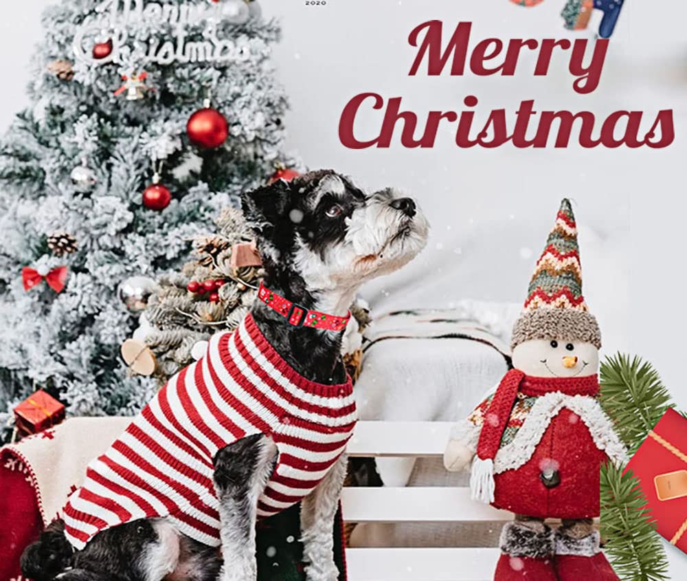 Mihqy Christmas dog collar size L features easy-to-use side release buckle.