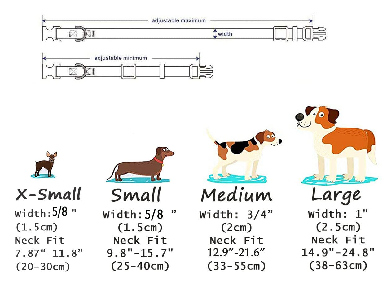 Mihqy dog collar adjustable strap and D rings for secure walks