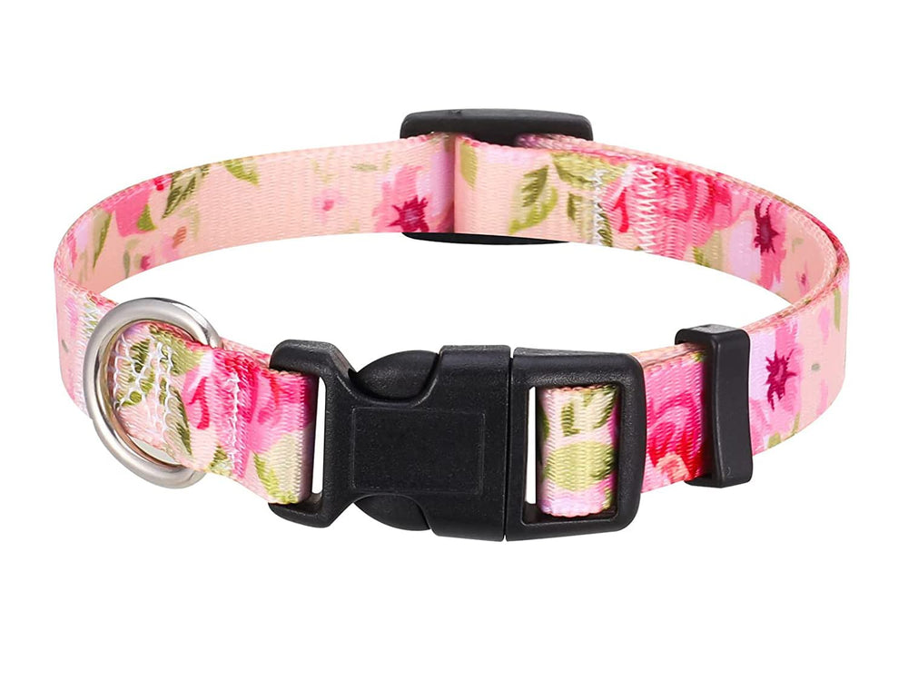 Mihqy dog collar side view highlights soft padding for comfortable wear