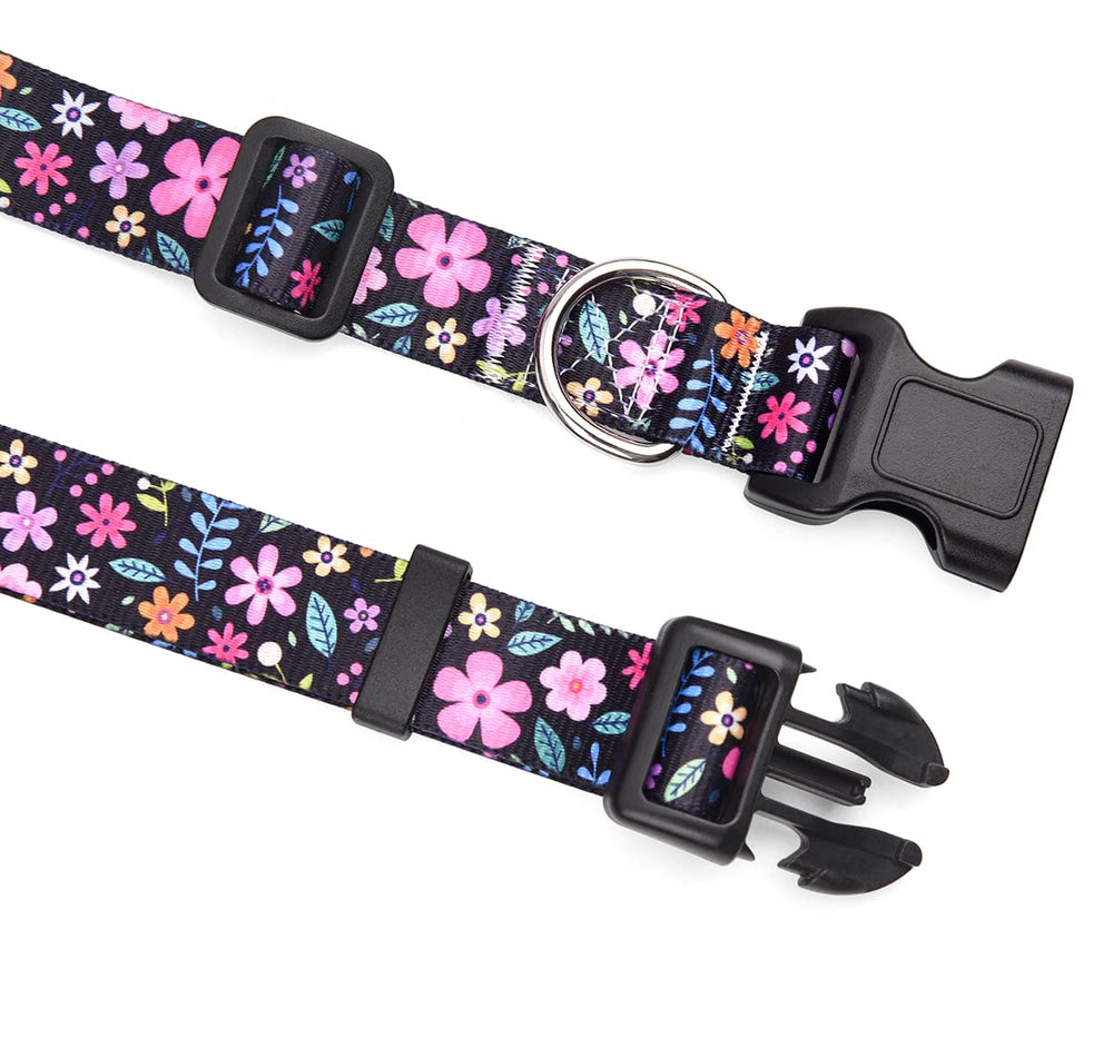 Mihqy dog collar D-Rings highlight secure leash attachment.