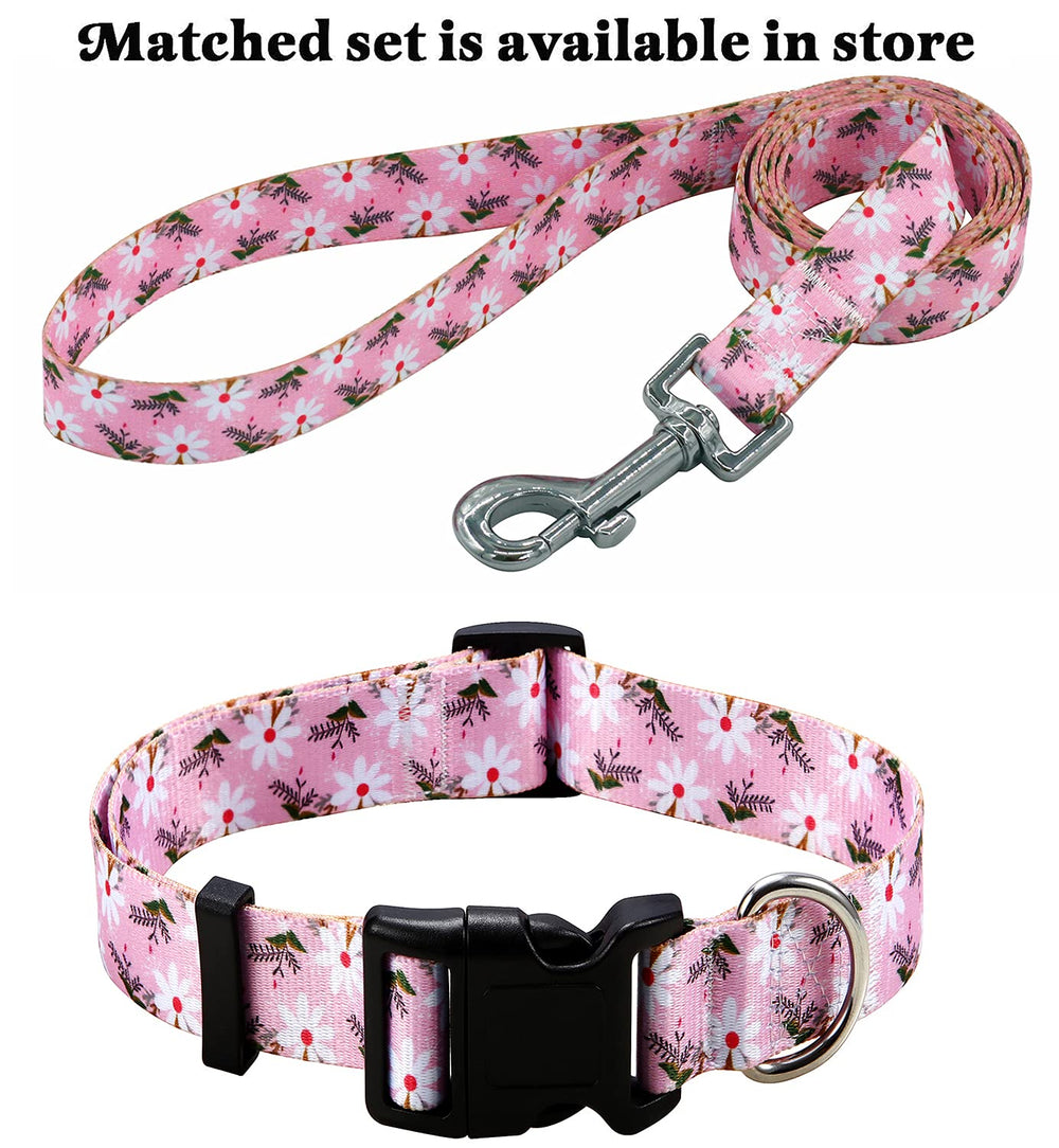 Mihqy matching leash option shown with coordinated bohemia pattern