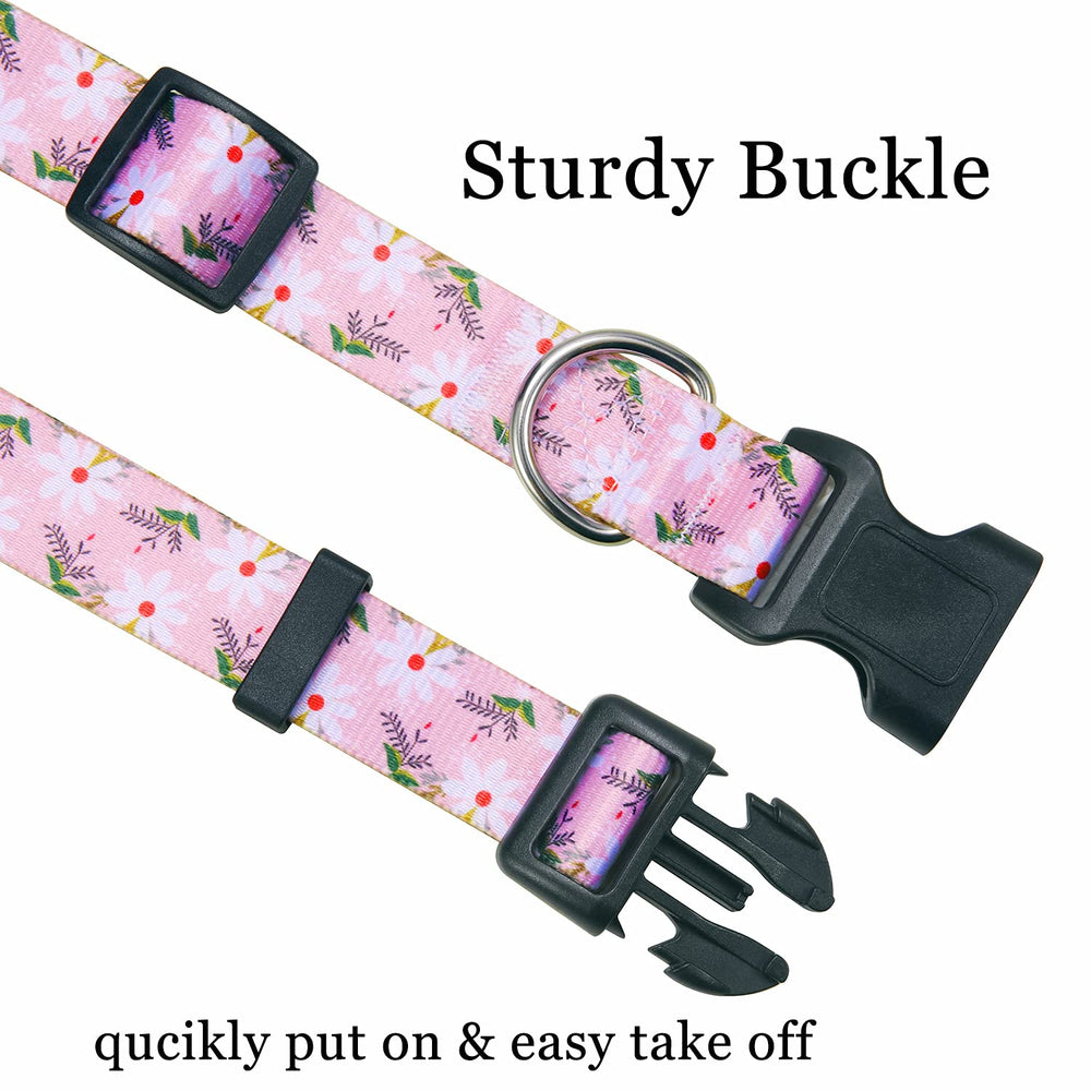Mihqy collar metal D-Ring detail highlights secure leash attachment