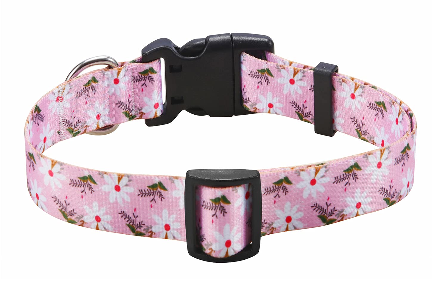 Mihqy collar on dog during walk emphasizes durable nylon for everyday adventures