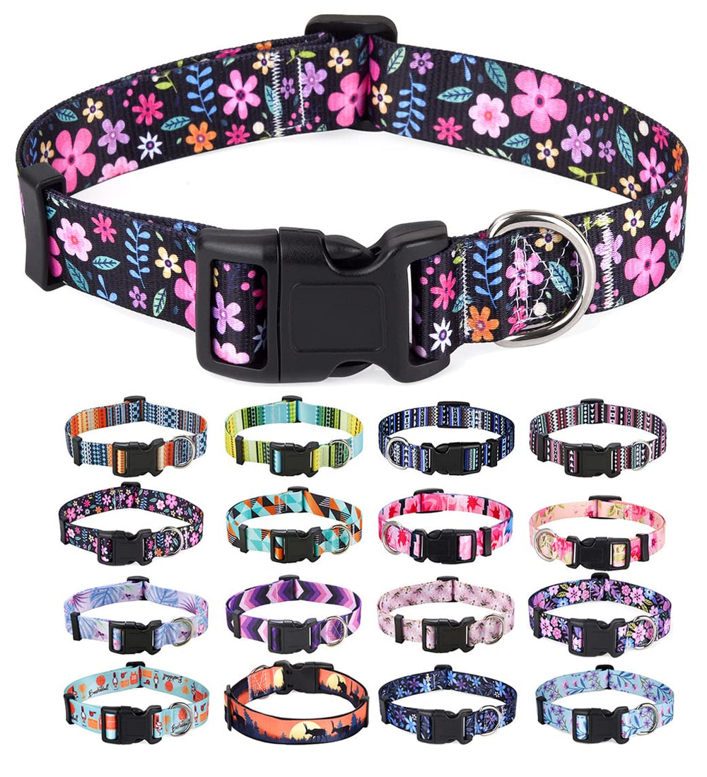 Mihqy size-s adjustable buckle collar ensures secure fit during active play.