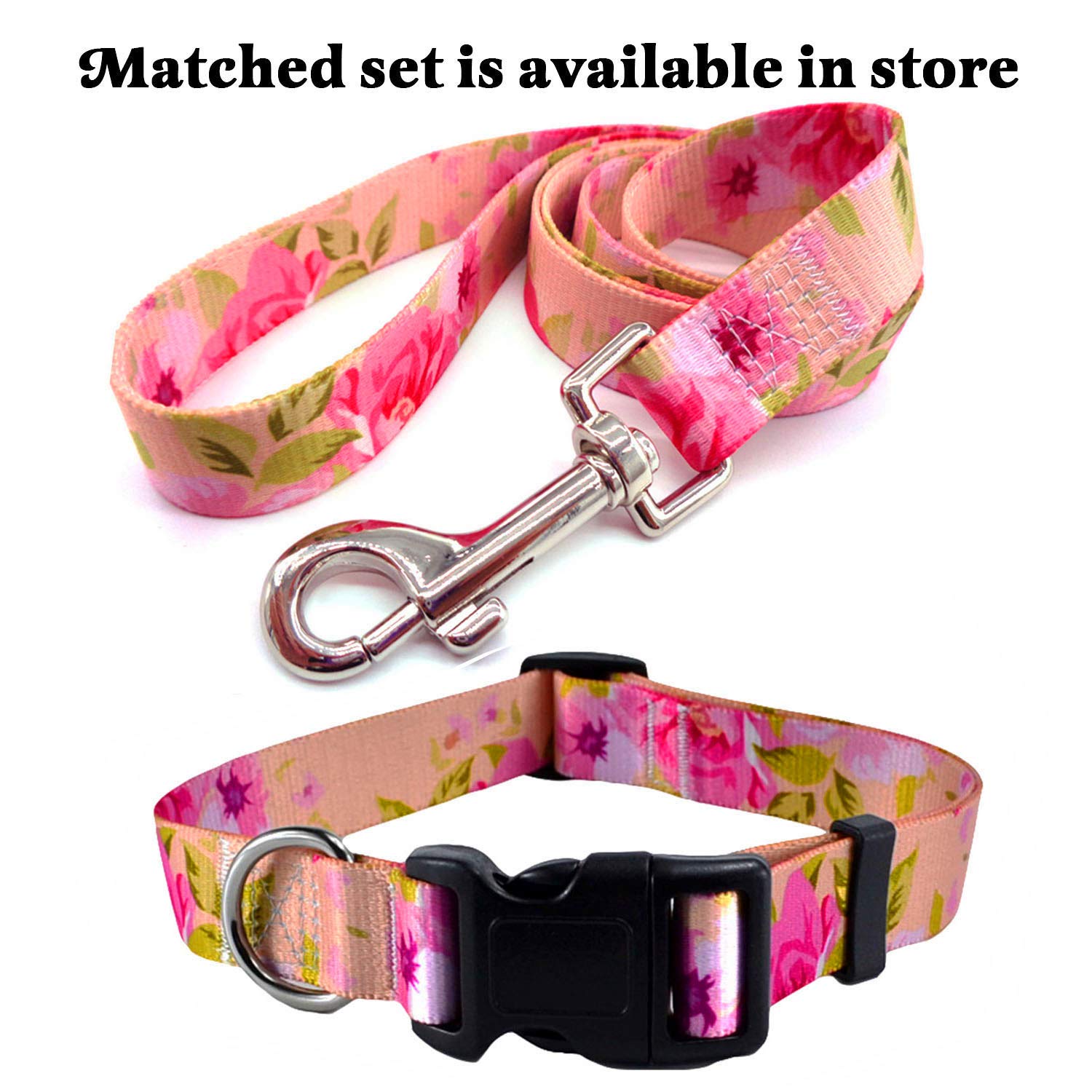 Mihqy dog collar worn on dog during a walk adds stylish ethnic flair