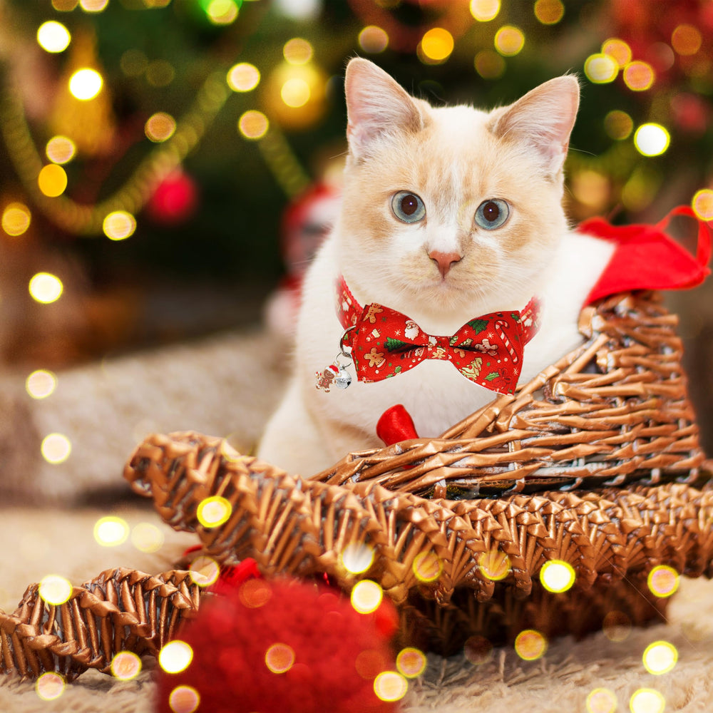 Miiemiu cat collar adjustable fit — 7.8 to 12.8 inches ensures comfortable wear