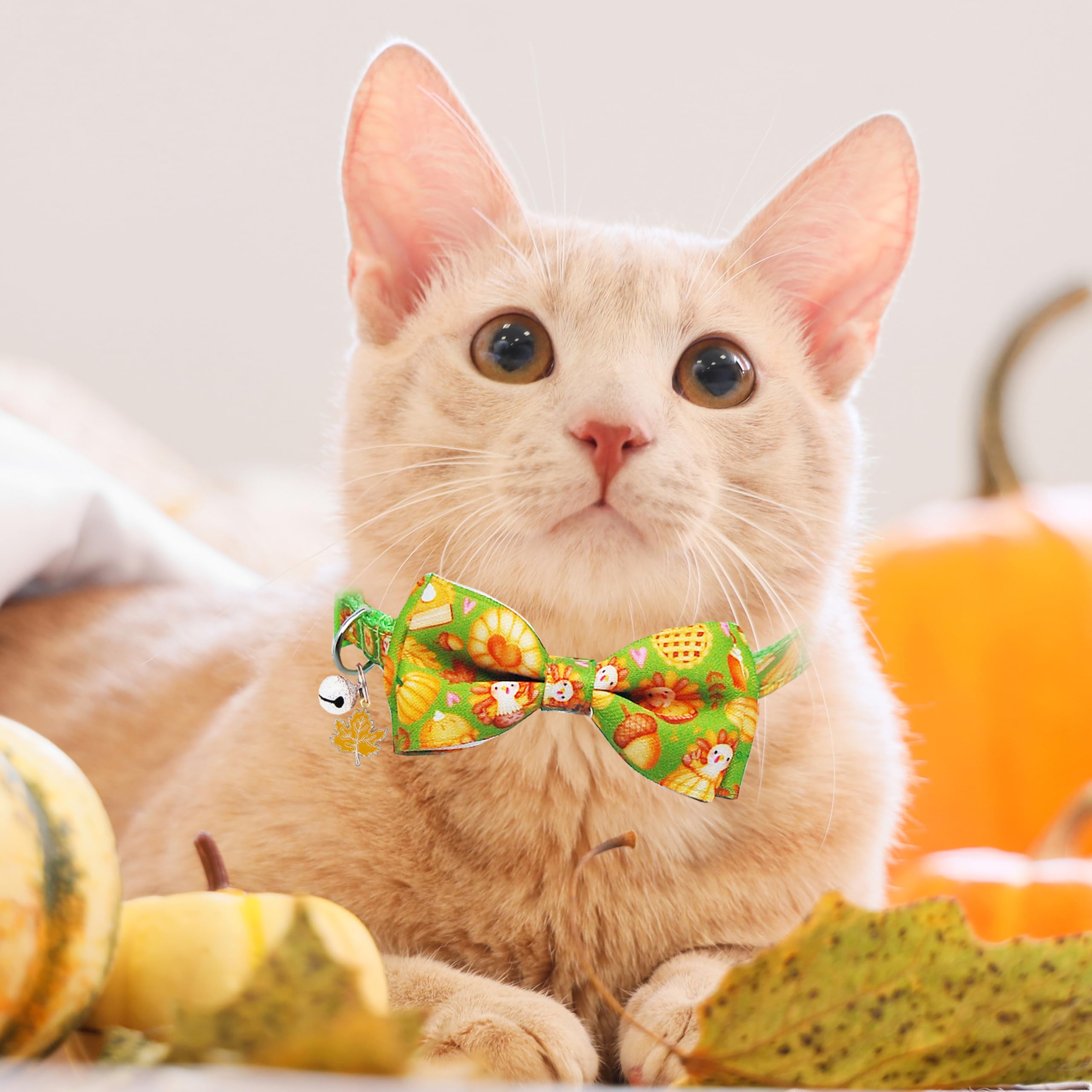 Miiemiu cute bell accessory helps locate your cat during festivities