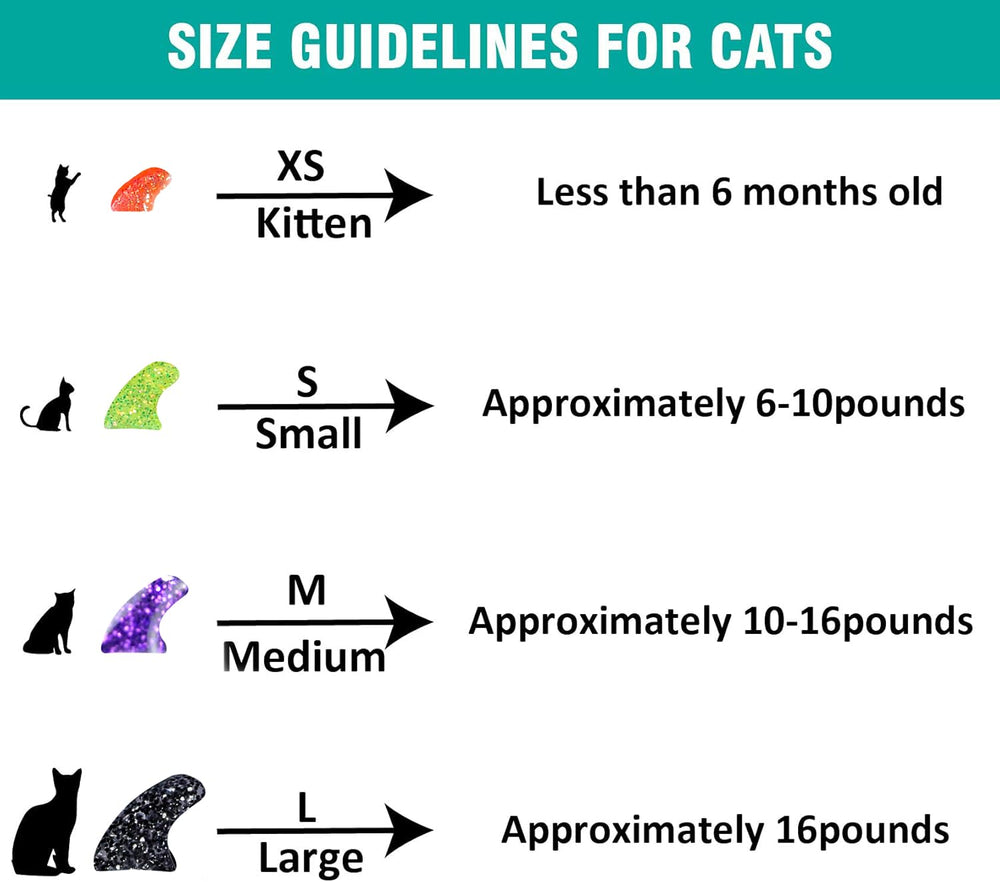 MiiOUU on-cat view demonstrates comfortable fit on a paw.