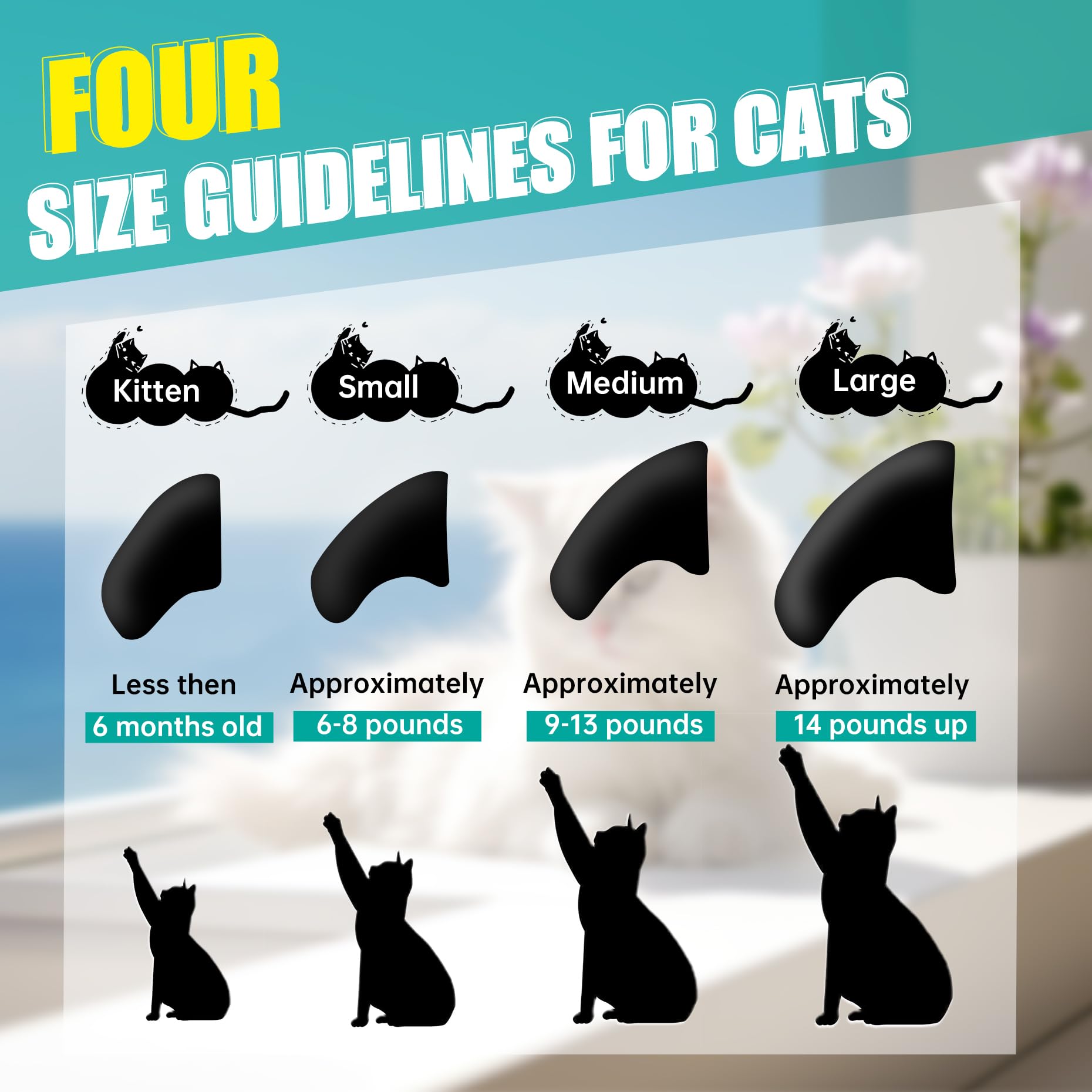 MiiOUU adhesive glue highlights safe, EU-certified bonding for cats.