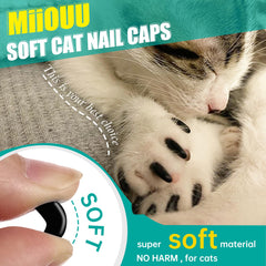 MiiOUU contents show 100 caps, adhesives, and applicators for setup.