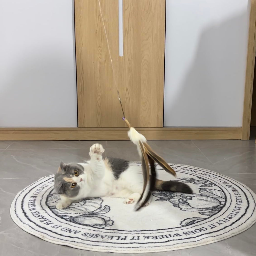 MikiLim 23-inch play-length strings help keep hands safe while simulating prey movement.
