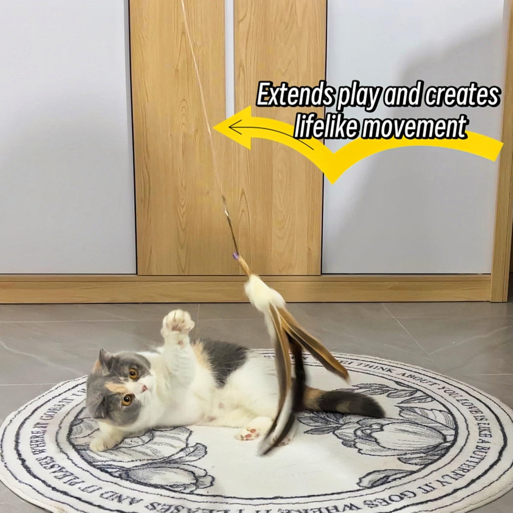 MikiLim cat wand strings with lobster clasps on ends enable quick, secure swaps.